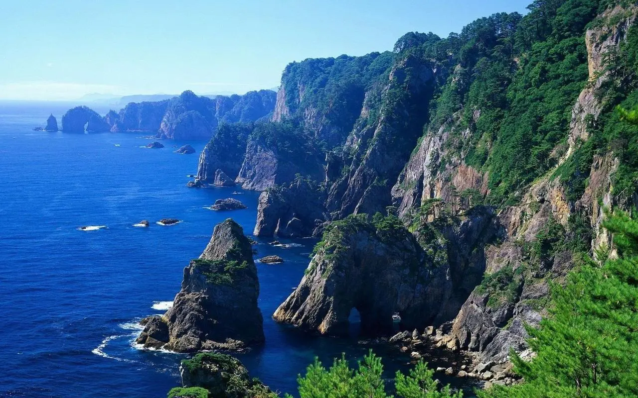 独特科技高端